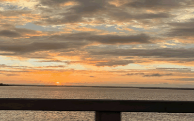 The Trawler Fall 2025