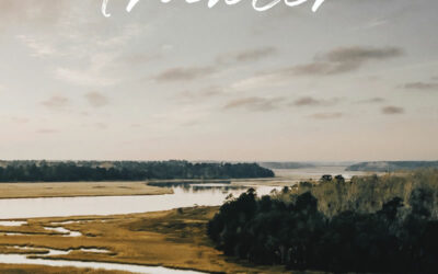 The Trawler Fall 2020