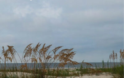 The Trawler Fall 2022