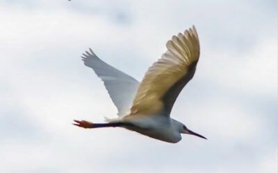 The Trawler Fall 2023